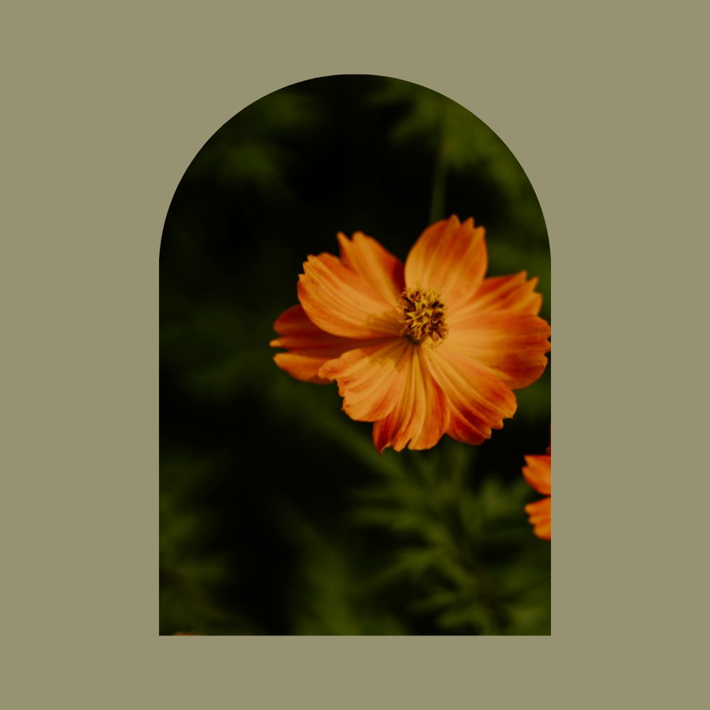 5 tiny product page tweaks that could double your sales (without a redesign)