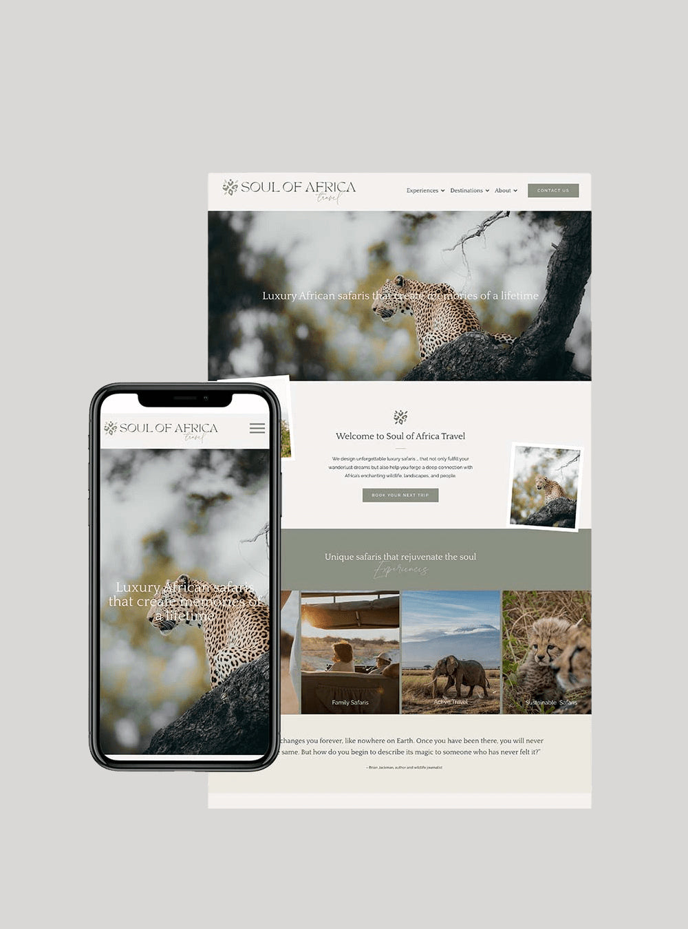 Soul of Africa WordPress Transformation